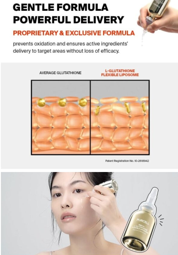 PURCELL - 88B/mL L-Glutathione Flexible Liposome