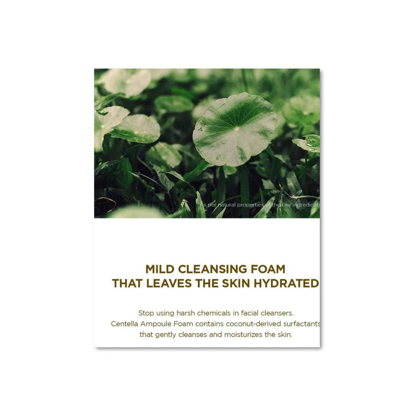 SKIN1004. Madagascar Centella Ampoule Foam.