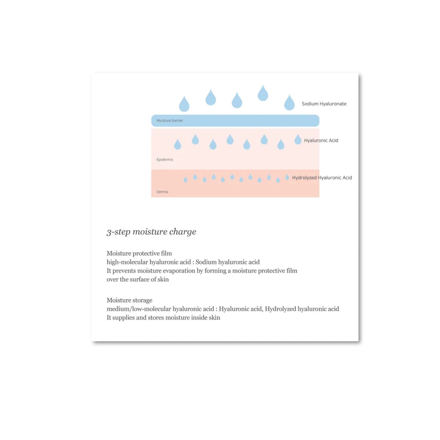 BEAUTY OF JOSEON Dynasty Cream.