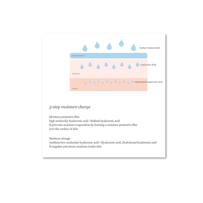 BEAUTY OF JOSEON Dynasty Cream.